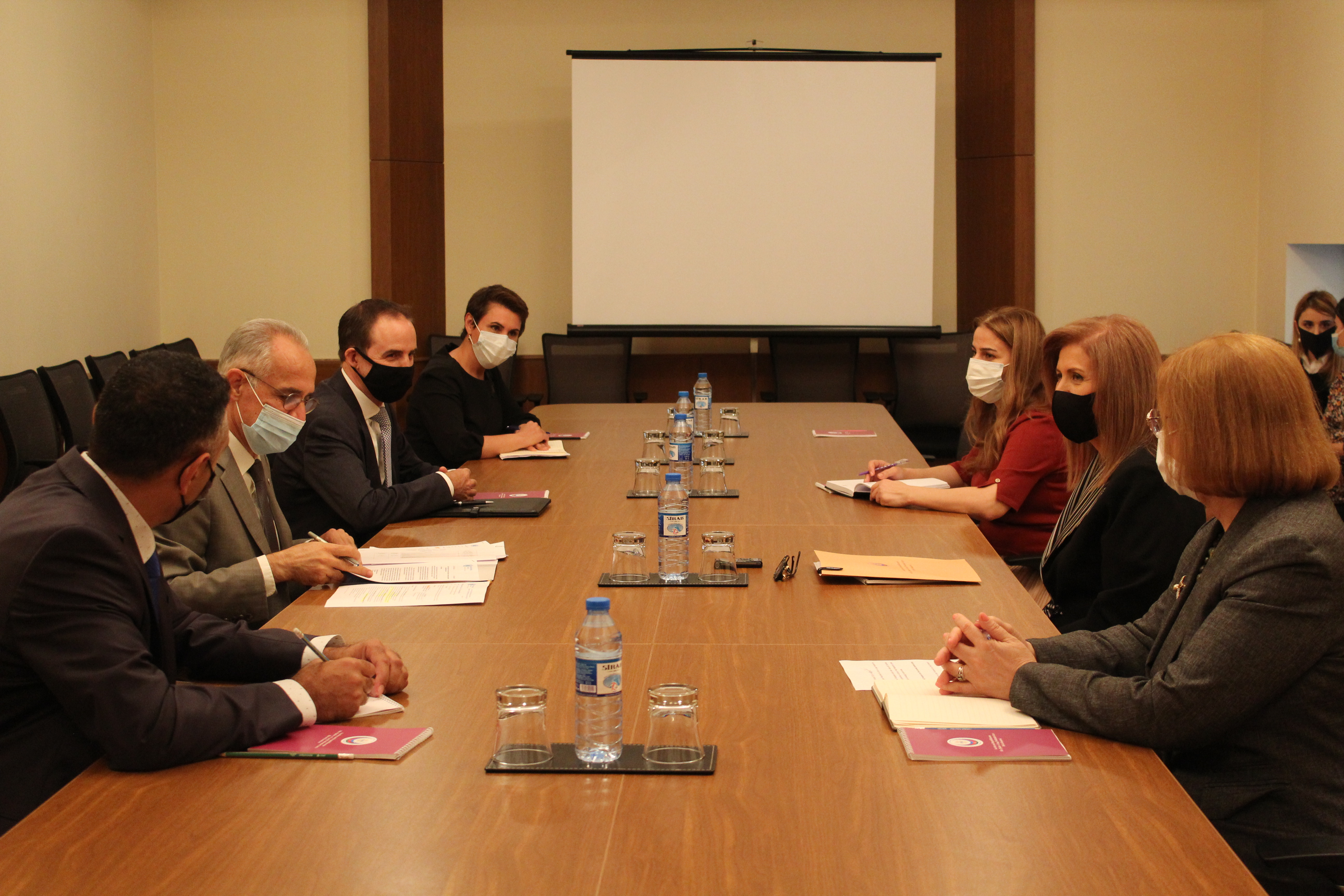Бахар Мурадова встретилась с представителями ООН в Азербайджане